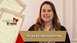 Explica Direito Filiação Socioafetiva  2019 [upl. by Opportina]