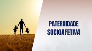 Paternidade socioafetiva [upl. by Medarda140]